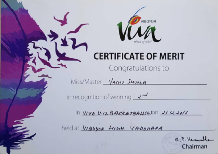 Basketball certificate of merit